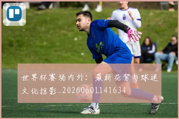 世界杯赛场内外:最新花絮与球迷文化掠影_20260601141634